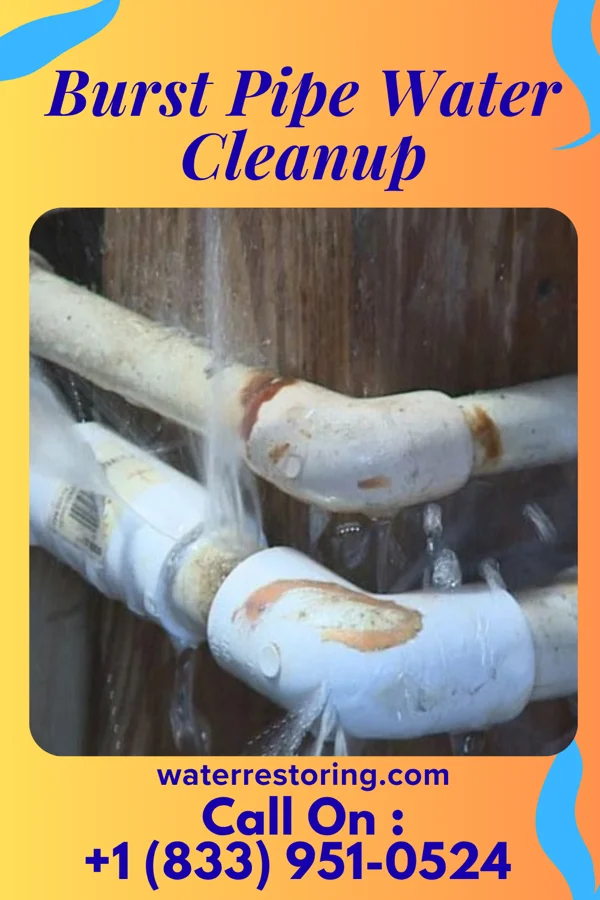 Burst Pipe Water Cleanup in Arthur, IL