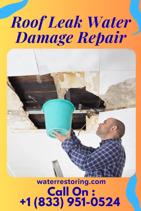 Roof Leak Water Damage Repair in Arthur, IL